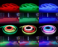 Tira de Luz LED Flexible Programable DMX512 5050RGBW de 60 LED/m, 24 V, 12 mm, IP67, CRI90, para Decoración de Paisajes Exteriores