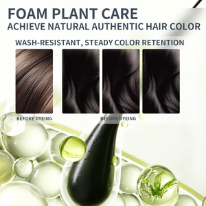 Sachet de coloration capillaire OEM de marque privée shampooing colorant pour cheveux 100% couverture cheveux gris petit paquet extrait de plante colorant à bulles - Product Image 2