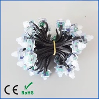Point lumineux pixel adressable WS2811 5V/12V RGB couleur magique étanche IP68 50pcs/anneau pour la lumière de module LED de Noël