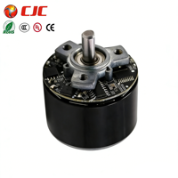 Moteur électrique BLDC 40W 12VDC sans balais pour pistolet de massage/trottinette électrique