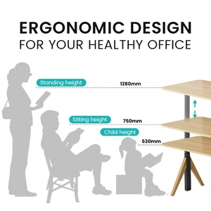 Electric Standing Desk Adjustable Height Modern Convertible Ergonomic Wooden Commercial Grade Office Desk - Product Image 3