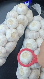 Granul Bawang Putih Kering Bubuk Panggang Kupas Kemasan Massal Langsung dari Pabrik - Product Image 5