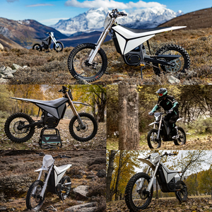 แรงบิด 948 นิวตันเมตร กำลังไฟ 35 กิโลวัตต์ ความเร็วสูงสุด 110 กิโลเมตรต่อชั่วโมง <span class=keywords><strong>รถ</strong></span>จักรยานยนต์ไฟฟ้าออฟโรด Y-Volt Surge V ขับเคลื่อนด้วยแบตเตอรี่ลิเธียม 97.2 โวลต์ 45 แอมป์ชั่วโมง - Product Image 4