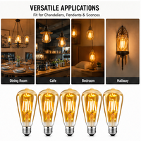Ampoule LED à filament rétro ST64 E27 dimmable, style cage d'écureuil antique, 4-16W, remplacement pour ampoules incandescentes et halogènes, finition teintée