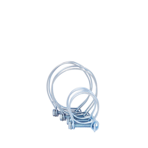 Clips <span class=keywords><strong>de</strong></span> manguera <span class=keywords><strong>de</strong></span> alta presión <span class=keywords><strong>para</strong></span> tubería <span class=keywords><strong>de</strong></span> <span class=keywords><strong>agua</strong></span>, abrazadera <span class=keywords><strong>de</strong></span> manguera <span class=keywords><strong>de</strong></span> alta calidad tipo Francia con doble cable/anillos - Product Image 6