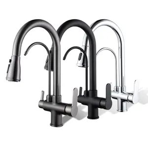 Robinets extractibles TB-4044 robinetto osmosi wasserhahn kuche cuilin musluk filtre robinet de cuisine 3 voies robinet d'évier robinet de cuisine