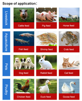 Nouvelle machine à granulés d'aliments pour animaux en acier inoxydable à haute productivité pour le traitement des aliments pour poulets et poissons, capacité de 80 à 150 kg/h
