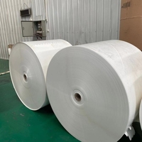 Papier copie A4 de haute qualité 70g 75g 80g en rouleau jumbo