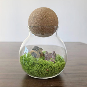Terrarium en verre écologique 10*13cm avec couvercle en liège et boule en bois pour <span class=keywords><strong>jardin</strong></span> de bureau, plantes en mousse, <span class=keywords><strong>mini</strong></span> paysage intérieur - Product Image 1