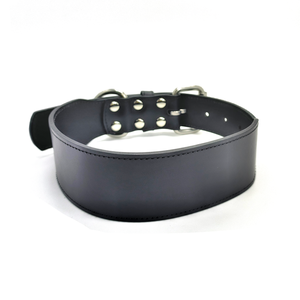 ปลอกคอสุนัขเกรย์ฮาวด์ หนังวัวแท้ หนา 2 นิ้ว หรูหรา สั่งทำโลโก้ได้ - Product Image 3