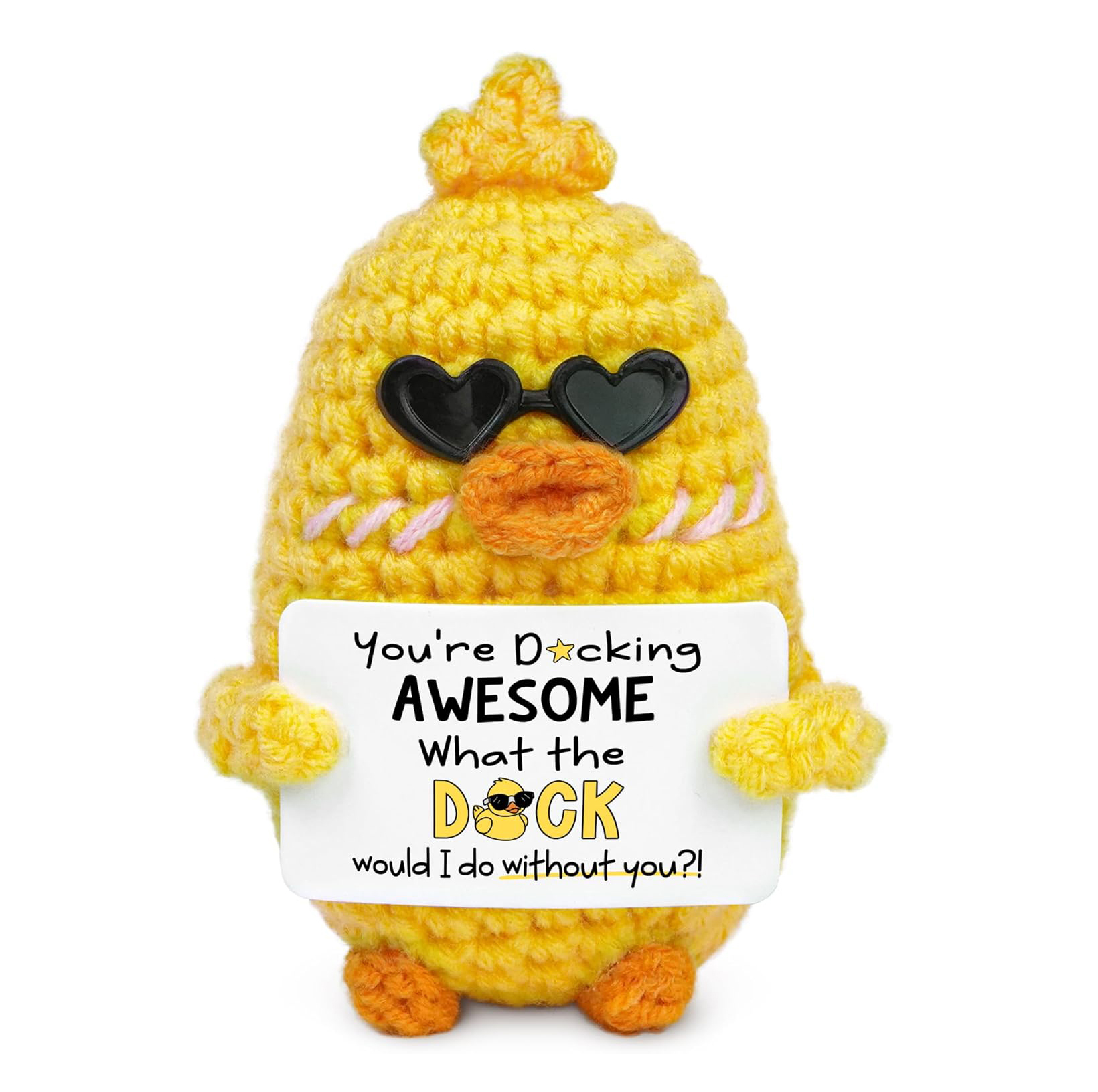 canard à lunettes 1