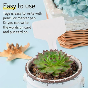 ป้ายติดต้นไม้พลาสติกแบบ T จำนวน 50 ชิ้น กันน้ำ ป้ายทำสวน DIY ป้ายติดต้นกล้าแบบใช้ซ้ำได้ สำหรับสวนดอกไม้ - Product Image 5