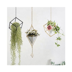 Plantador de la pared colgante cono de Metal suculentas - Product Image 4