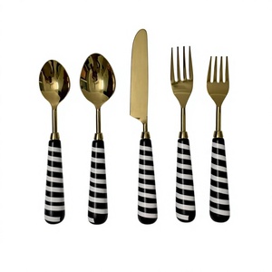 Juego de Cubiertos de Acero Inoxidable 18/10 de 5 Piezas, Diseño Vintage con Mango de Resina, Logotipo Personalizado, para Fiestas, Cuchillo y Cuchara para Cena - Product Image 1