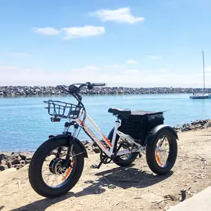 MEIGI अच्छी कीमत Trikes 3 पहिया साइकिल वयस्कों बिजली 750W Bafang बिजली कार्गो बाइक बिजली Tricycle के लिए संयुक्त राज्य अमेरिका स्टॉक