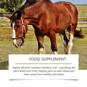 July 2026 valida 1 scatola di pasta nutritiva cavallo supporto immunitario vitamine minerali integratori personalizzabili per la cura della salute degli animali domestici senza cereali - Product Image 3
