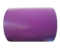 Rouleau de métal prélaqué PPGI/Gi Gl PPGL doublement enduit de zinc, peinture couleur, revêtement zinc galvanisé 0,6 mm
