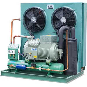 Bitzer Compressor 5p-100p bizer Semi enclosed piston compressor R404A/R410A/R507A Refrigeration condensing unit