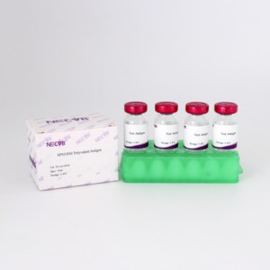 Antigène multivalent prêt à l'emploi pour le test de plaque rapide typhoïde Pullorum et volaille (certifié ISO) - Product Image 3