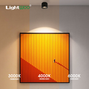 Projecteur LED mural encastré 8W 12W orientable et réglable, moderne, pour usage commercial, hôtelier, domestique ou de bureau, avec variateur d'intensité, idéal pour les couloirs. - Product Image 4
