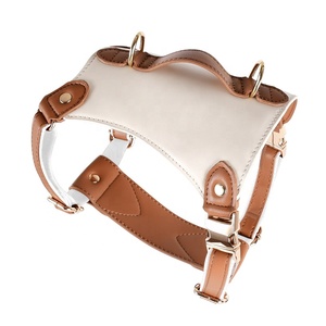 Correa y arnés para perros de alta calidad, artículos impermeables, accesorios para mascotas al mayor - Product Image 2