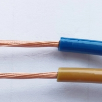 2*0.5mm2 ~ 2*6mm2 Câble RVS à paire torsadée isolée en PVC avec fils électriques conducteurs en cuivre flexibles