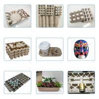 Fuyuan-máquina pequeña de reciclaje de papel, máquina para hacer bandejas de papel y huevos