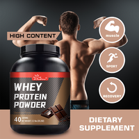 Poudre de protéines de lactosérum à saveur chocolat, marque privée OEM ODM, nutrition sportive pour la récupération musculaire