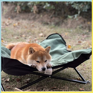 Cama portátil para perros al aire libre, cuna de viaje para acampar para perros, cama elevada para perros con marco de acero, cama plegable acolchada para perros para mascotas - Product Image 5
