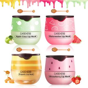 Organic Vegan Lips Care Exfoliating Strawberry Watermelon Apple Bee Lip Balm Sleeping Lip Mask - Product Image 1