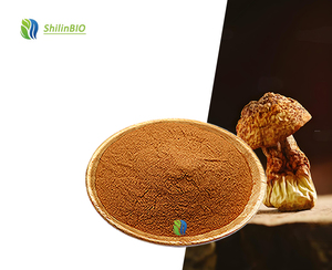 Extrait d'herbes de qualité alimentaire SLBIO, poudre de polysaccharides de <span class=keywords><strong>champignon</strong></span> Agaricus Blazei, concentration de 30%, disponible en emballage en bouteille - Product Image 3