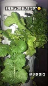 Serres agricoles système d'agriculture aéroponique vertical tour de culture hydroponique <span class=keywords><strong>jardin</strong></span> système hydroponique vertical - Product Image 4