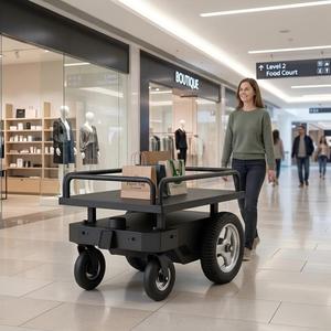 Carretilla de plataforma de cuatro ruedas de acero negro con recubrimiento en polvo y estructura móvil para uso industrial - Product Image 6
