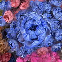 Bunga Peony Kertas Beras Awet Bunga Kering Abadi Buatan Tangan Dekorasi Pernikahan Hiasan Rumah Bunga Peony Sutra Buatan Pabrik Yunnan