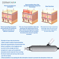 Appareil professionnel multifonctionnel 10-en-1 Hydra Water Hydro Dermabrasion Aqua Oxygen Jet pour le visage, idéal pour les salons de beauté et les soins de la peau (version US)