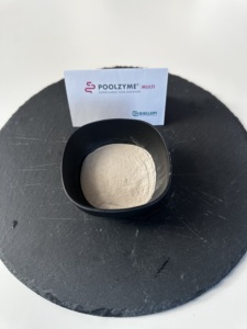 Mélange de suppléments végétariens et végétaliens de qualité alimentaire Excellente offre de lactase protéase amylase lipase et de cellulase sous forme de poudre - Product Image 3