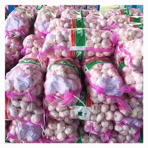 <span class=keywords><strong>China</strong></span> ajo blanco normal Grado Superior ajo al por mayor para la exportación con GAP 2023 nuevo precio de fábrica de cultivos proveedor de ajo fresco - Product Image 2