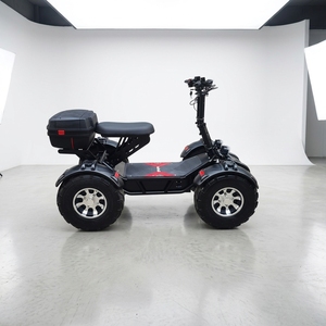 Véhicule tout-terrain électrique 21 pouces à gros pneus 10000W 60V RY-S4 4WD Quad électrique puissant pour adultes VTT tout-terrain - Product Image 3