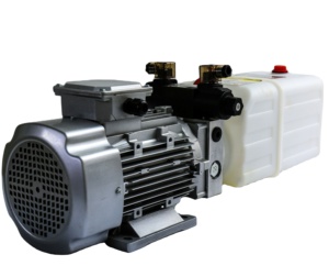 Trung Quốc Ali Baba Bán Hàng AC 220V Điện Điều Khiển Đôi Diễn Xuất Đôi Solenoid Thủy Lực Power Pack - Product Image 6