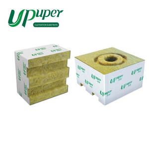 Trồng cà chua UPuper bằng phương pháp thủy canh thương mại trong nhà kính, sử dụng chất nền đá khoáng dạng khối 4x4 - Product Image 3