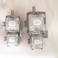 Pompe à engrenages dédiée NAC-HI de haute qualité pour machines à cintrer, pompe à huile hydraulique IPH-24B-6.5-25-L-10, pompe double, pompe à chaîne