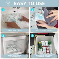 Pack de glace sèche en gel pour glacière alimentaire jetable en plastique personnalisable avec logo, feuille de congélation avec logo pour boîte à lunch