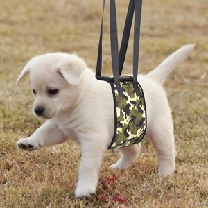 Arnés de Soporte para Perros, Cinturón de Ayuda para Mascotas Mayores, Enfermas o Discapacitadas, Estilo Mochila, Poliéster Negro, Talla Mediana - Product Image 3