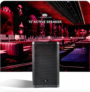 Enceinte active en plastique DSP BSX 15A de 15 pouces, 2000W de puissance de crête, 131dB SPL, pour bars, scènes, événements scolaires, location, vente en gros - Product Image 6
