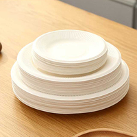 Assiette blanche de 9 pouces Assiettes de restaurant Canne à sucre Bagasse plate Assiette alimentaire kraft jetable