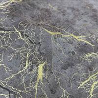 Chine fabricant produit feuilles d'or imprimé velours stock tissu pour canapé