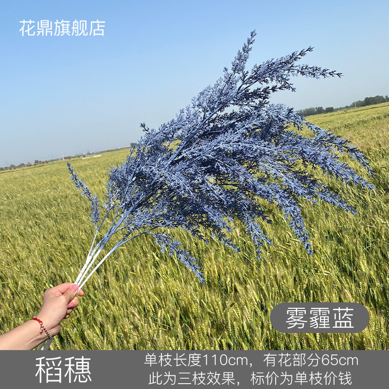 Épis de riz brume bleu