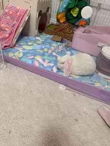 Coussinets en polaire imperméables pour la <span class=keywords><strong>cage</strong></span> du cobaye - Product Image 6