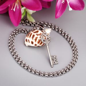 Collar Clásico con Colgante de Llave de Acero Inoxidable y Circonita Cúbica - Product Image 3