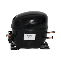 Compresseur de réfrigération Pw5 5vk R134a 220 Compresseur à piston pour mini congélateur Compresseur pour réfrigérateurs R134a